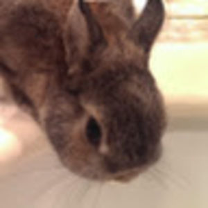 Meet your Posher, Cliff